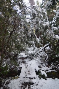 Un peu plus de neige...