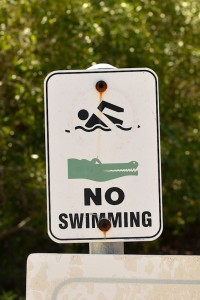 No swimming