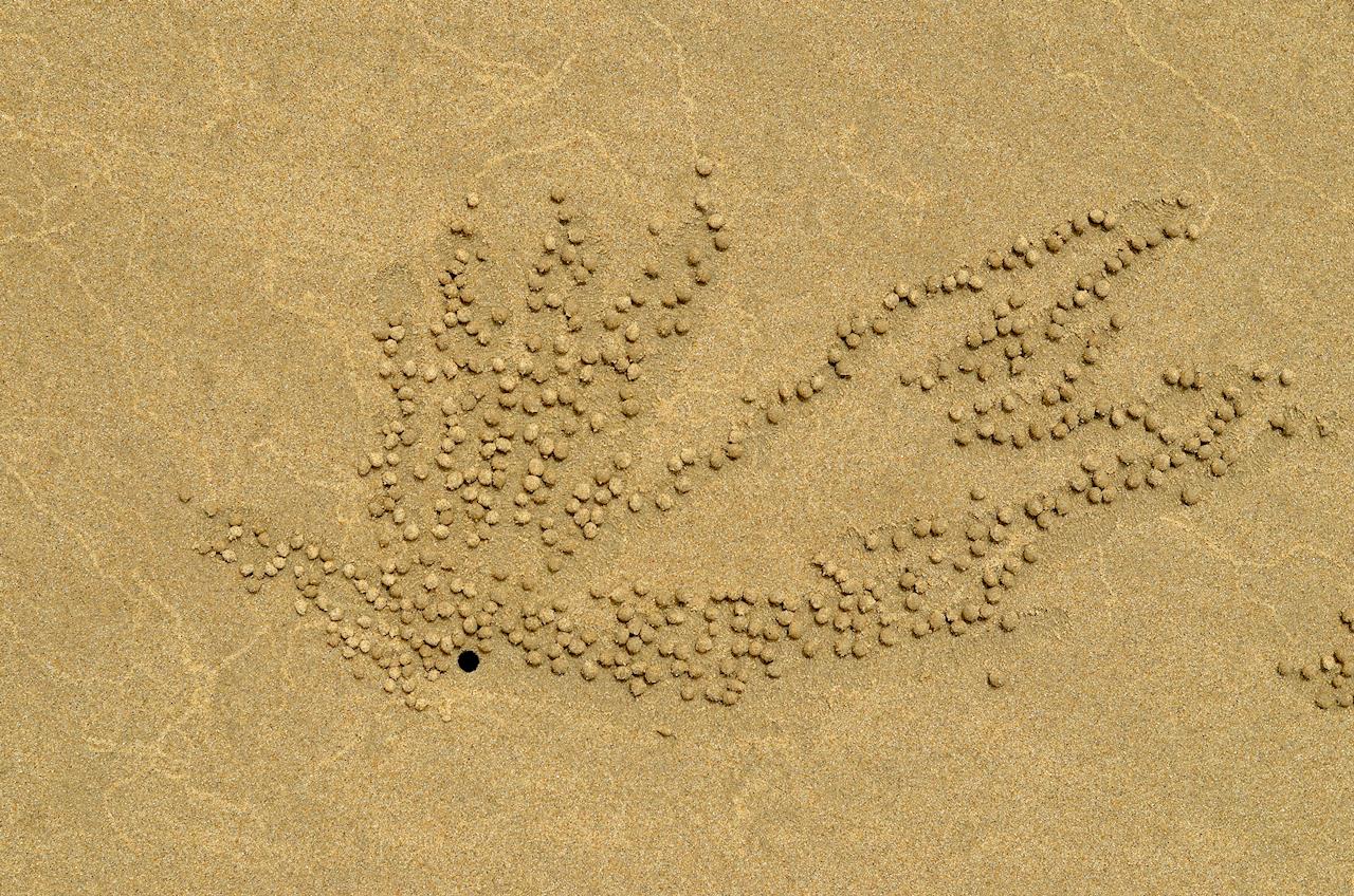 bille de sable